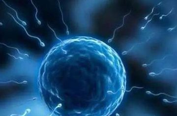 玉溪市卵子医院名单选助孕子做试管婴儿的流程以及费用