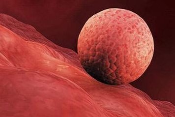 最新排名之吉林试管助孕医院，剖析吉林助孕生子的条件