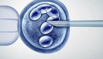 试管移植成功的身体反应