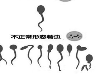 昆明助孕公司哪家比较好