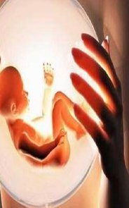 在成都做一次试管婴儿多少钱_成都试管婴儿的费用