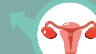 茂名助孕机构哪家强？揭秘价格亲民、成功率高的实力榜单！