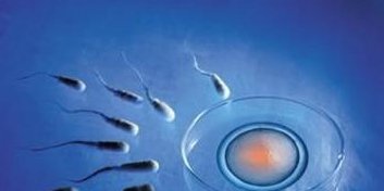 郑州助孕首选机构大盘点，揭秘优质试管婴儿医院挑选攻略