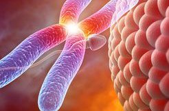 2026年湖南十大试管医院，这两家医院排名靠前